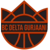 迈阿密热火